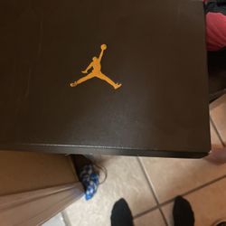 Jordan 12 