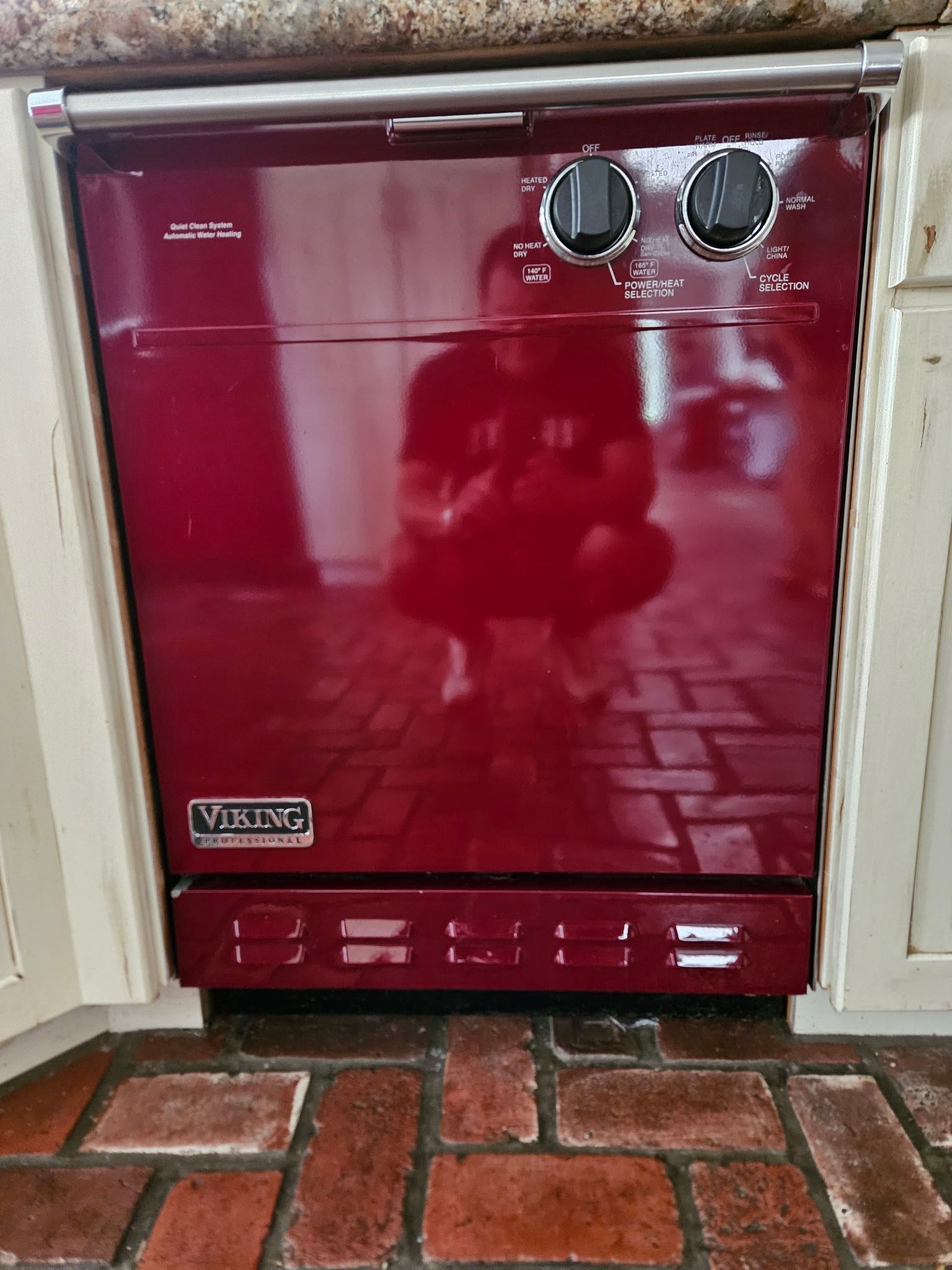 Viking Range, Fridge, and Dishwasher 