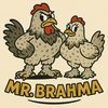 Mr.Brahma 