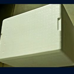 Large Foam Cooler/Ice Chest