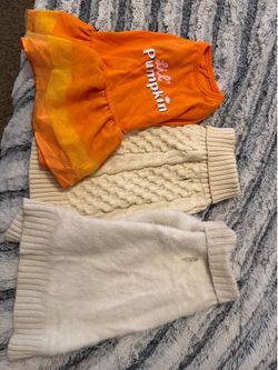 pet clothes