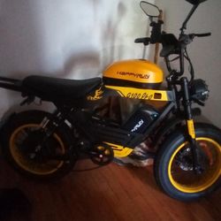 E Bike 