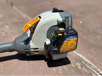 Ryobi TP30 pole saw