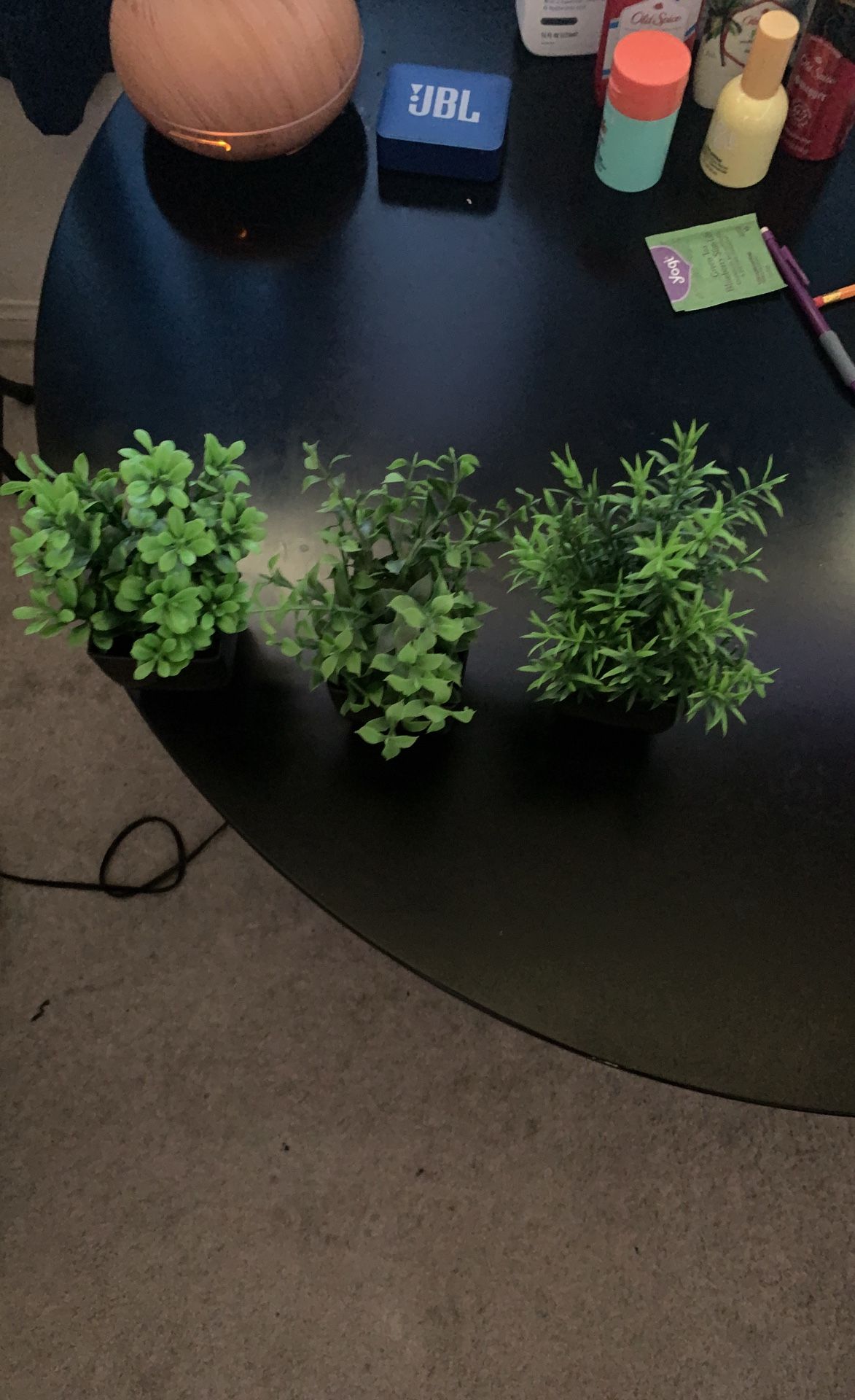 5 Artificial Plants