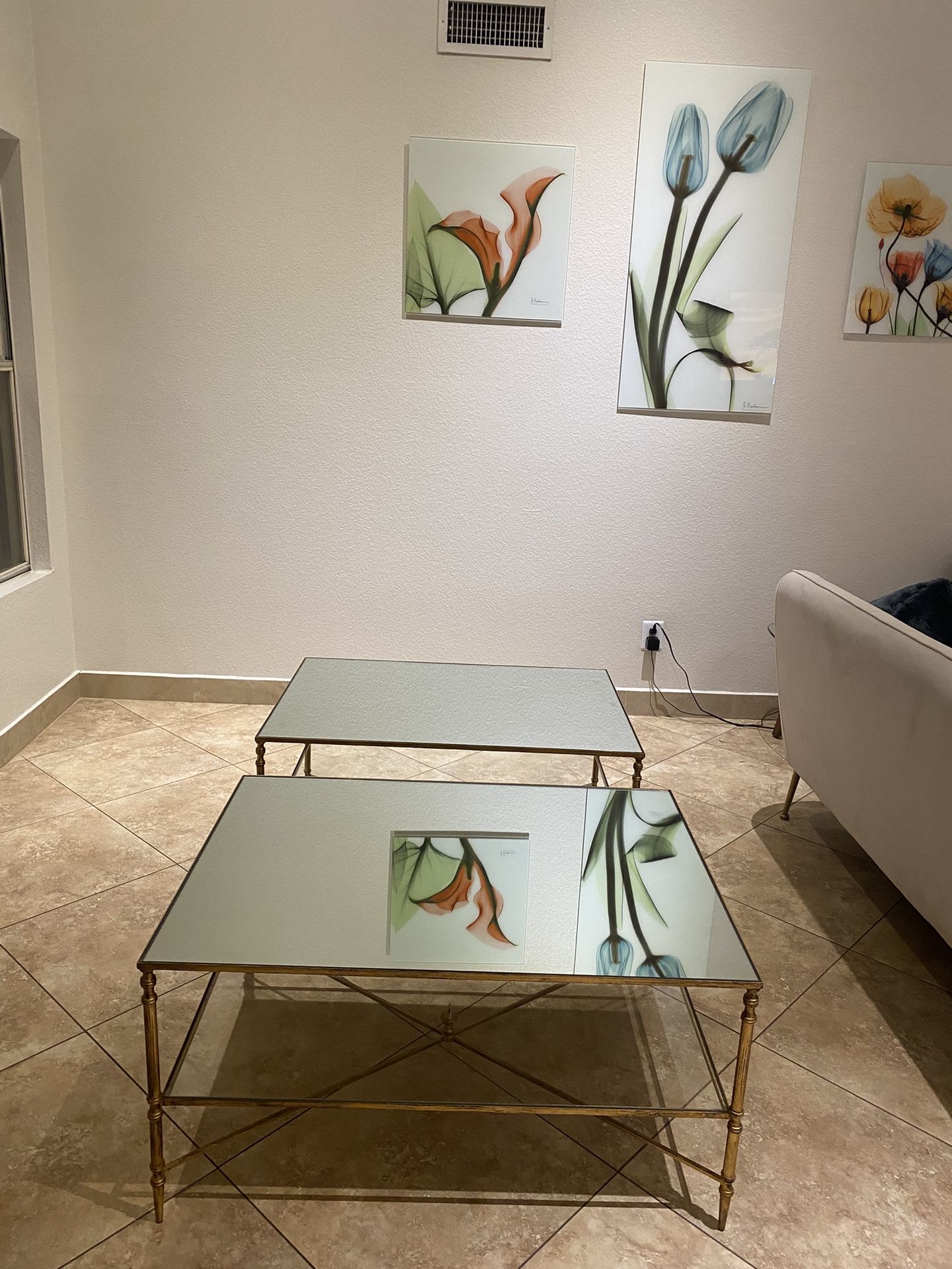 Mirrored Gold leaf coffee table / Set of 2