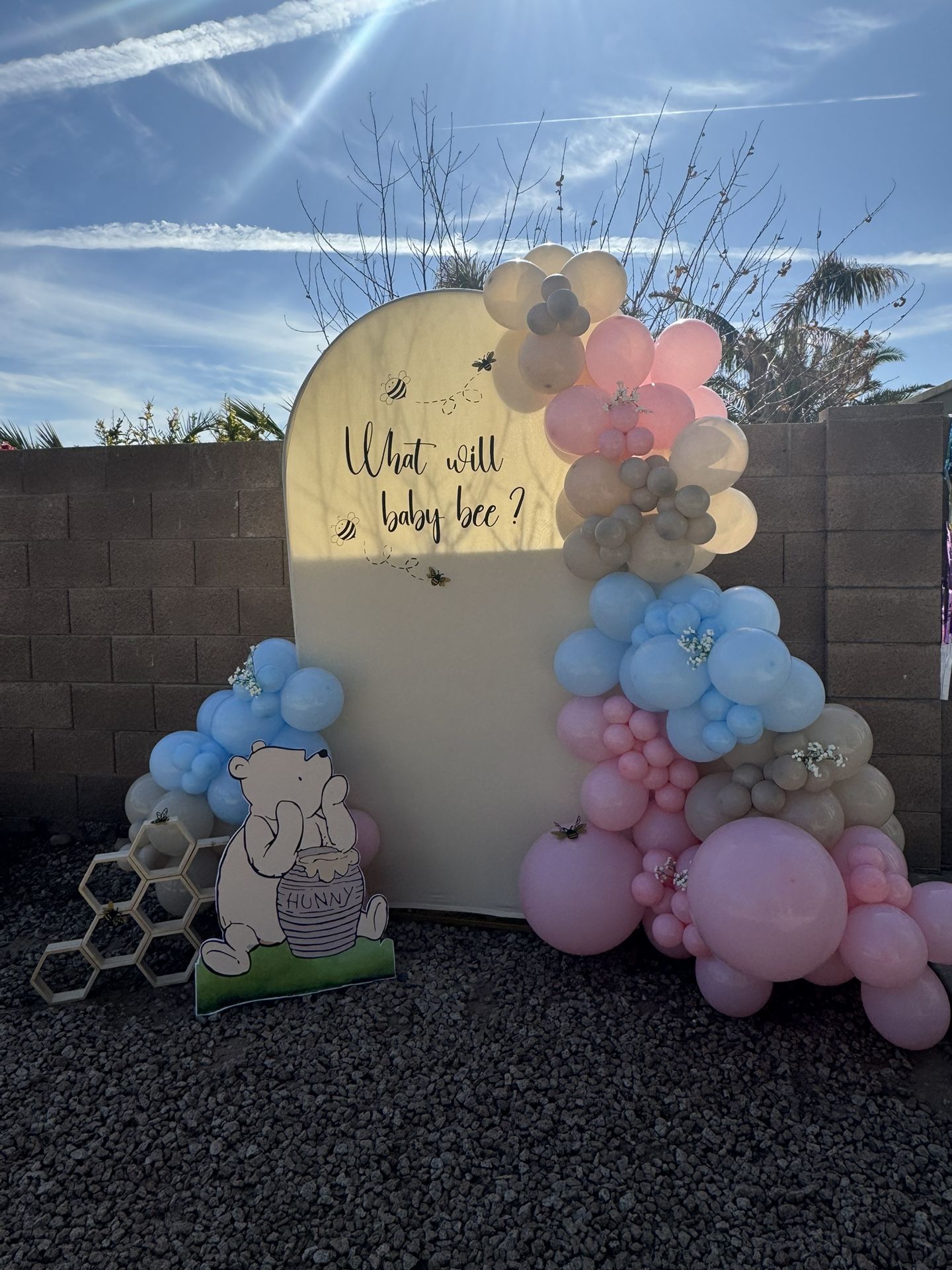 Honey Comb And Balloon Arch