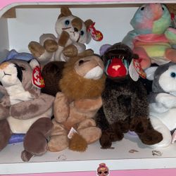 TY Teddie Bears