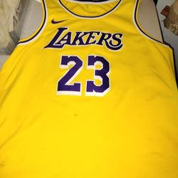 Lebron James Jersey