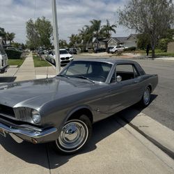 1966 Mustang