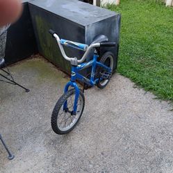 16" Rallye Boy's Bike 