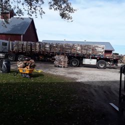 Firewood 