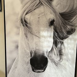 horse pictures for wall  31 x 41 in