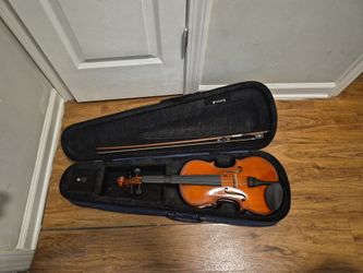 Violin