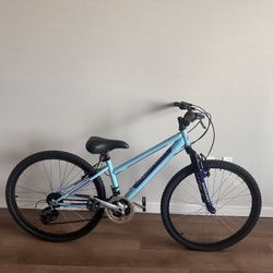 Mountain bike