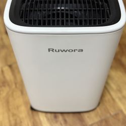 Dehumidifier (Mind Condition)