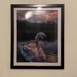 Swan cover in graffiti custom art piece on black frame