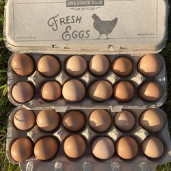 Farm Fresh Free Range Eggs