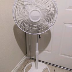 Fan 
