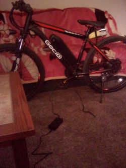 Electic bike