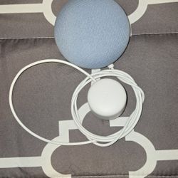Google Nest Mini 