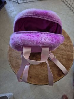 Back pack purse