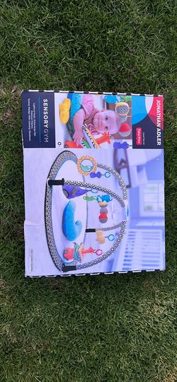 Fisher Price Sensory Gym