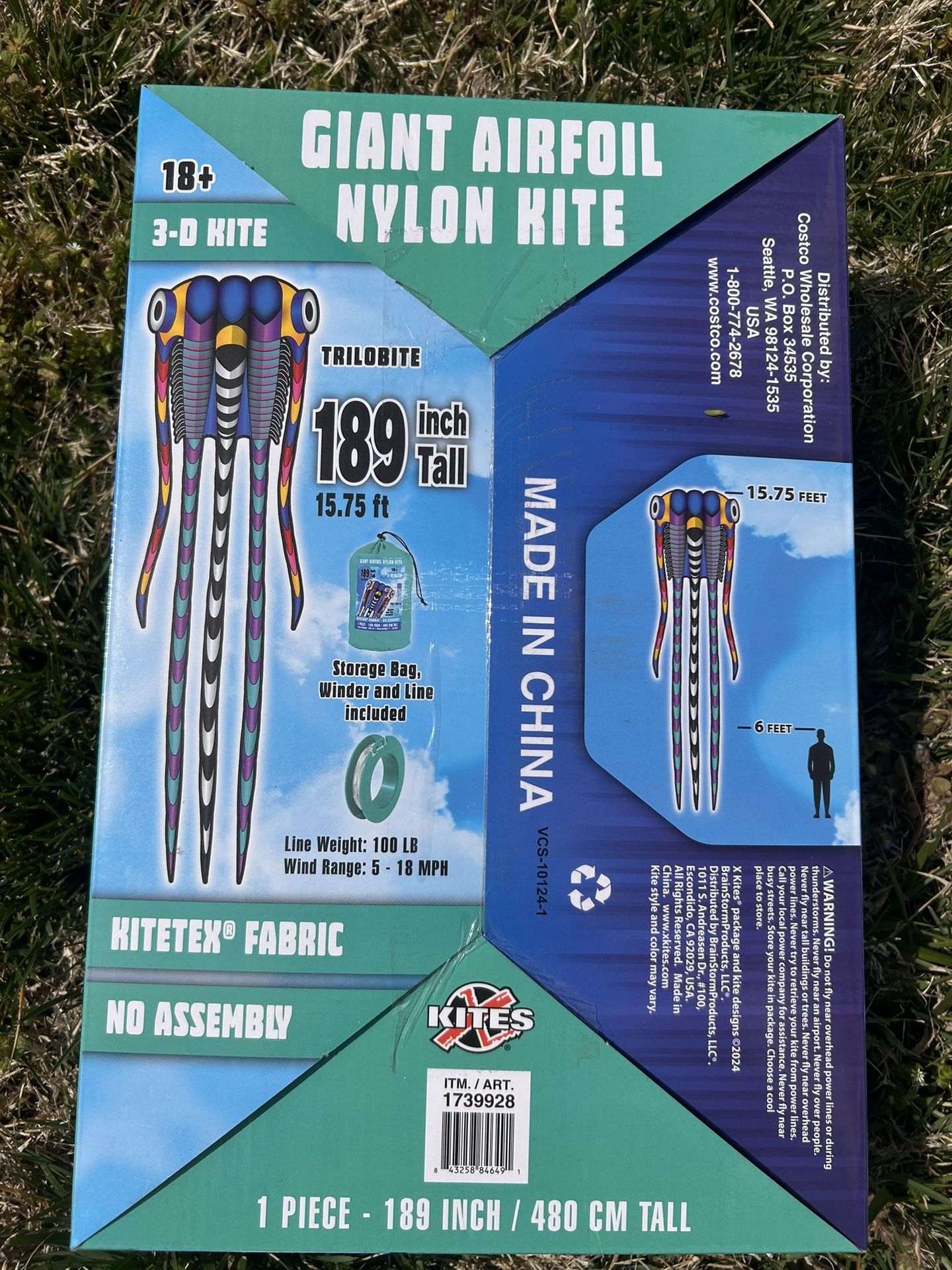 Giant Airfoil Nylon Kite