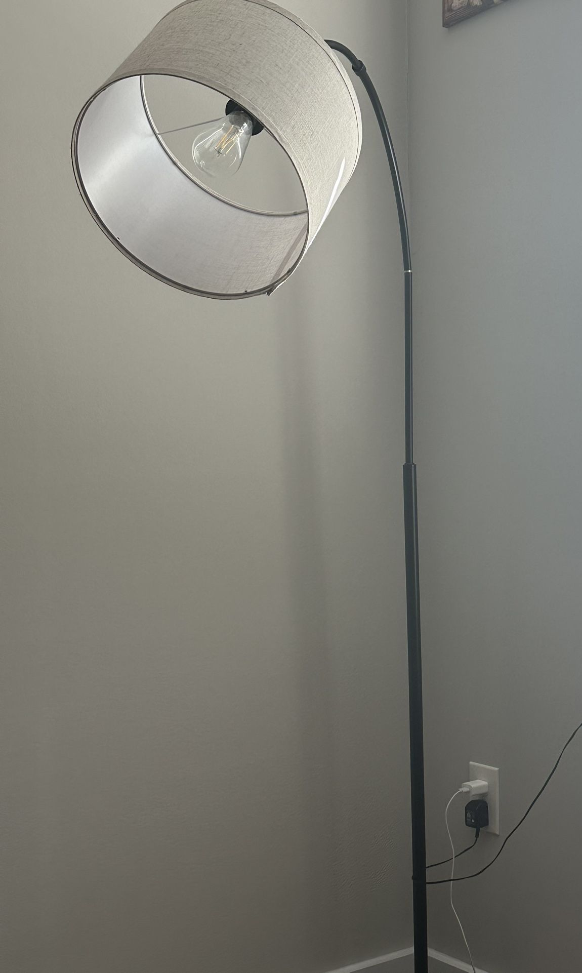 curved floor lamp