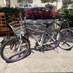 Bikes lowered to $25 each