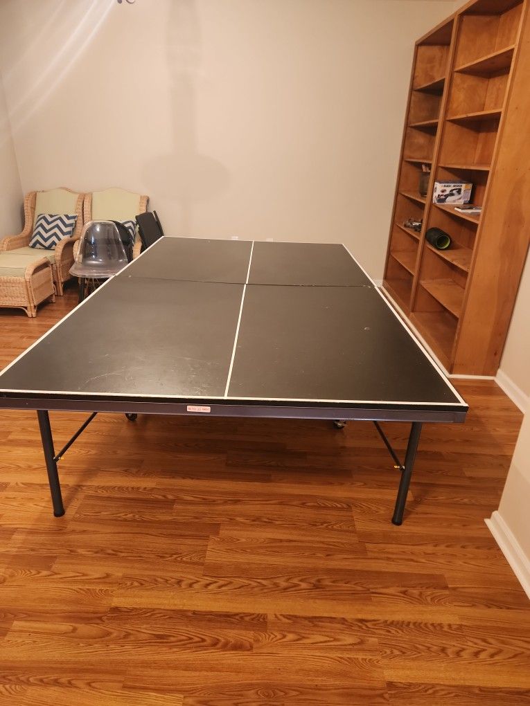 Ping Pong Table