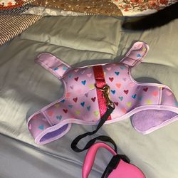 Top dog harness with retractable leash