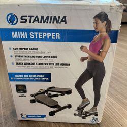 Mini Stepper Exercise Machine 