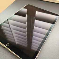 iPad Pro 12.9 inch 2nd Generation 256 GB