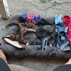 Dog Collars  , Clothes, Leashes