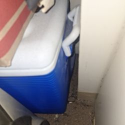 Two coolers