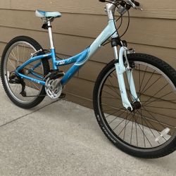 Aluminum Bike Trek Sz 24