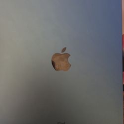 iPad 10th Gen WiFi And Cellular 