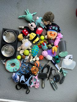 Dog Toys, Harness, Clippers and More