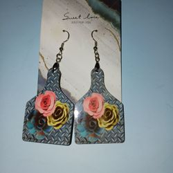 Very Pretty New Earrings 