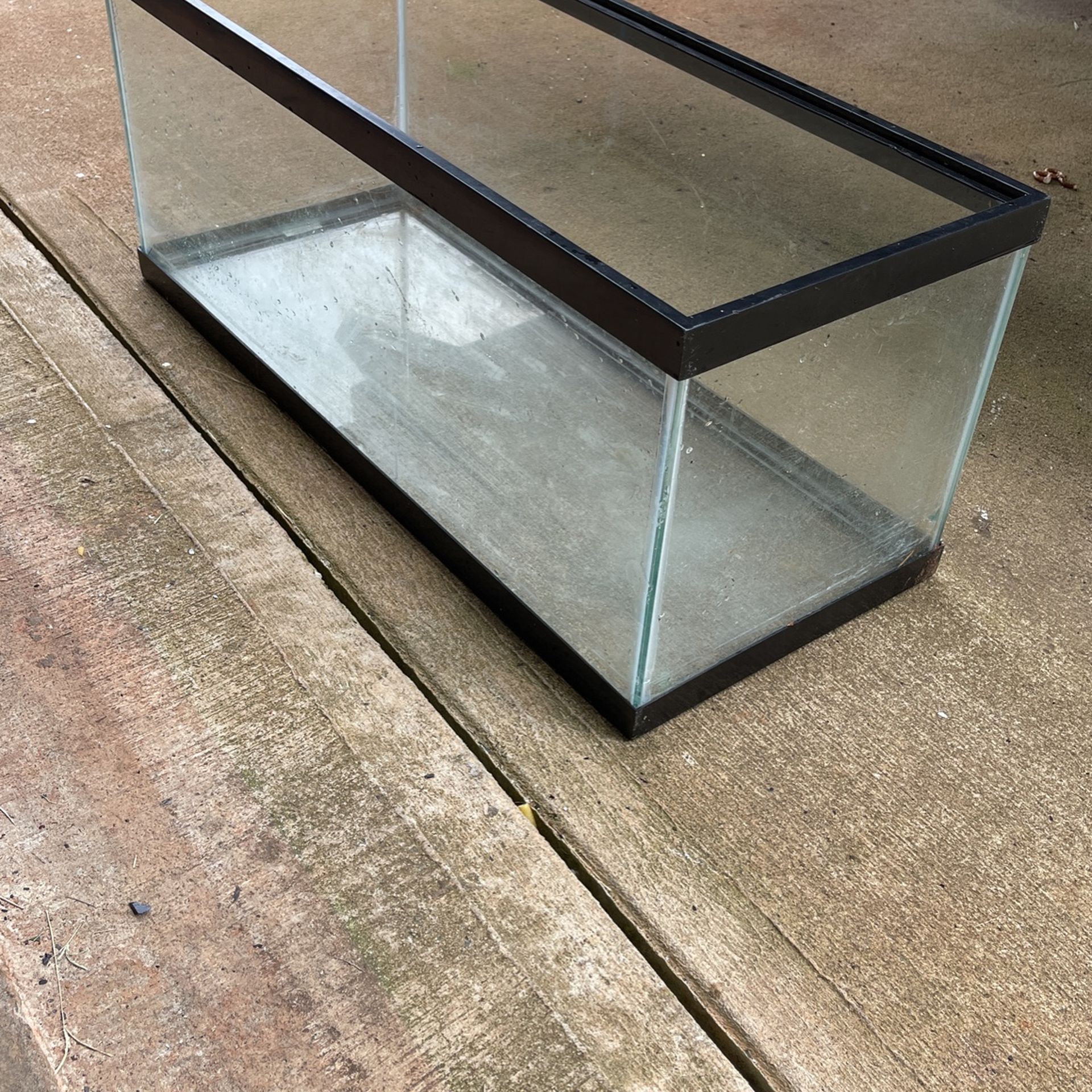 20 Gallon Fish Tank
