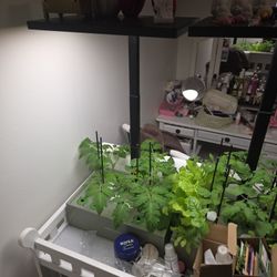 Three Hydroponics Bays.