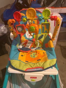 Fisher-Price Baby Infant-to-Toddler Rocker