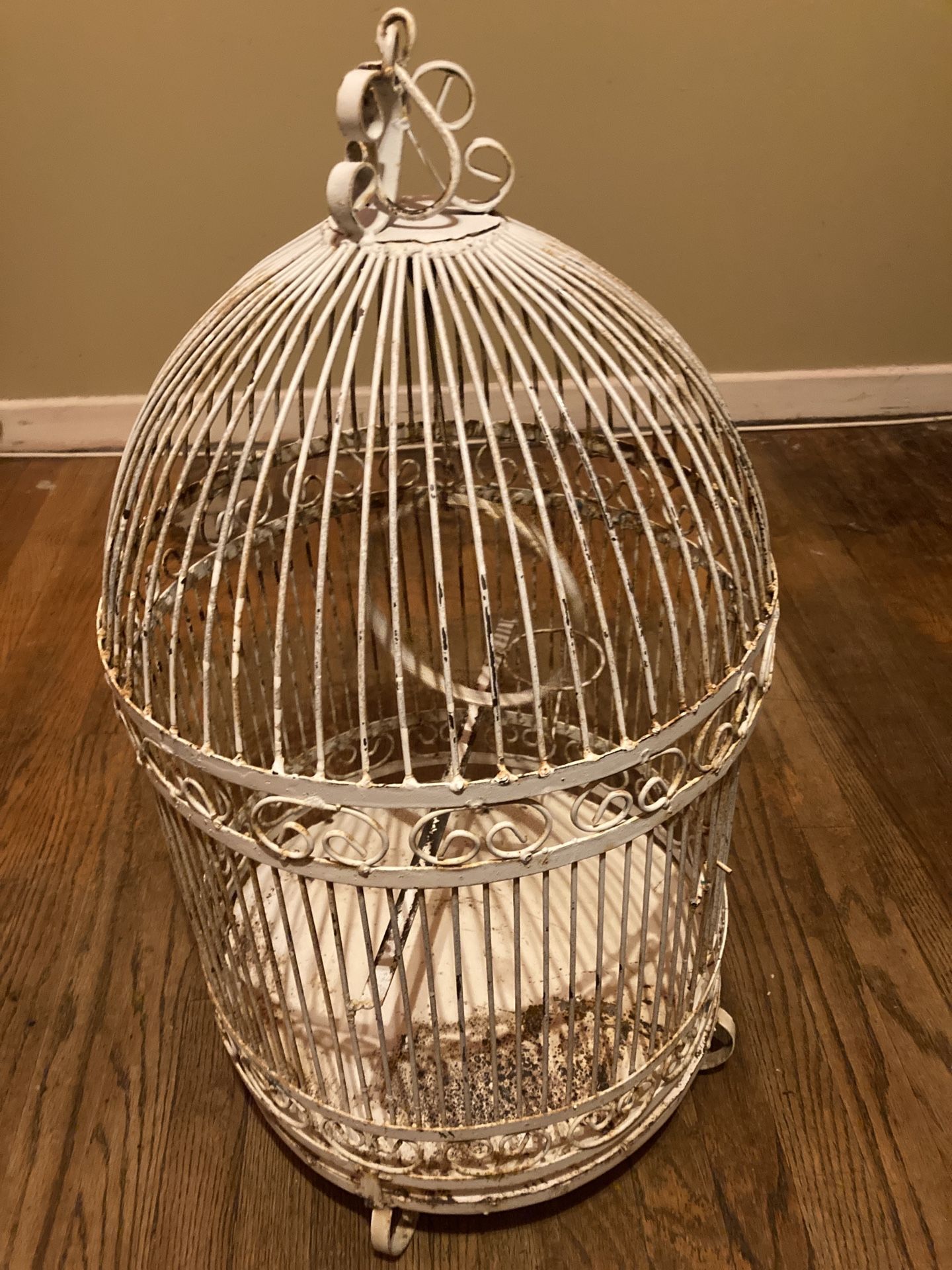 Bird Cage