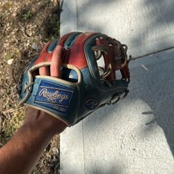 Rawlings Limited Edition Baseball Glove