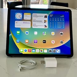 iPad Pro 12.9” 4th Gen 256GB - Excellent Condition