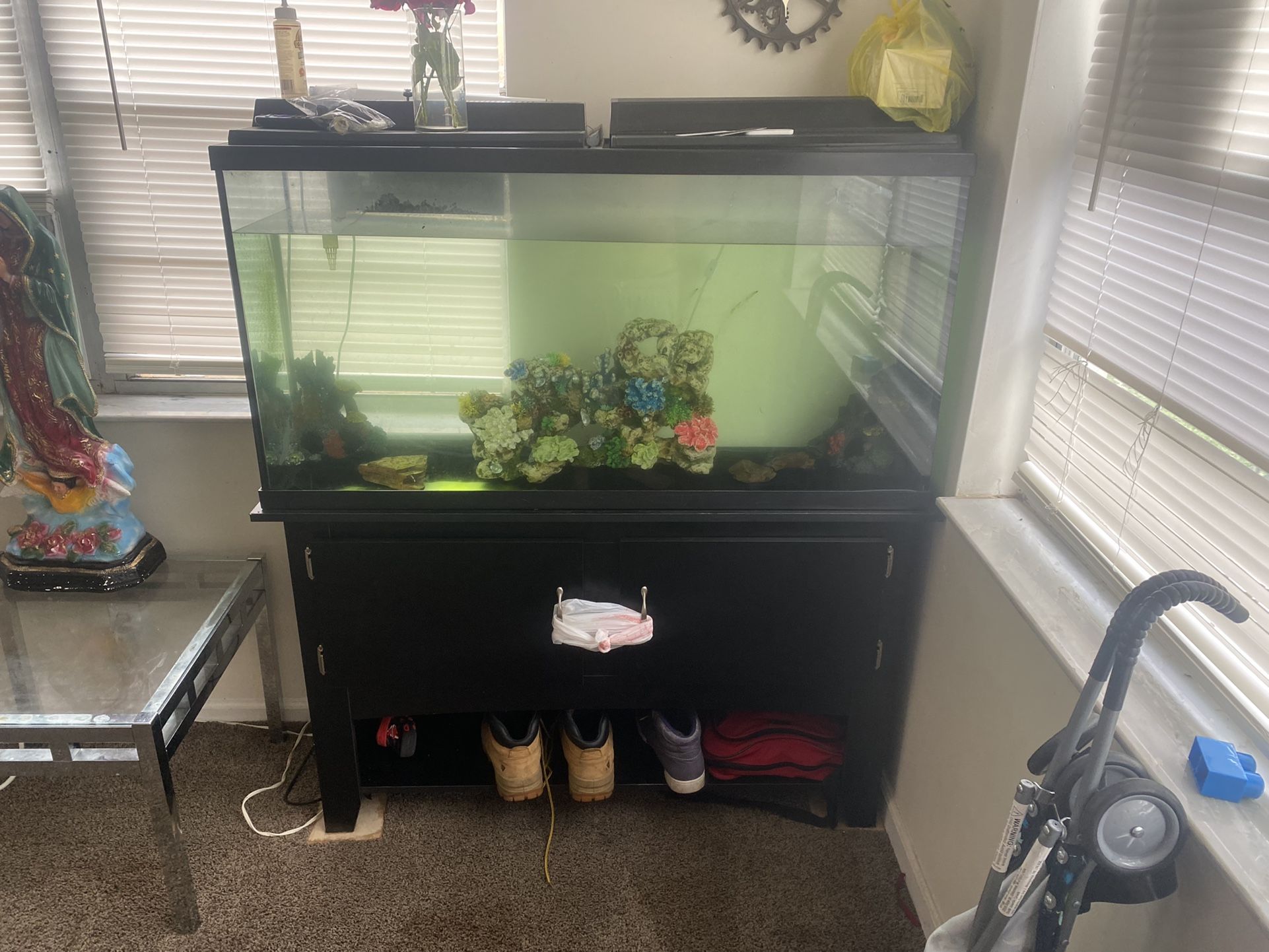 Fish Tank And Stand