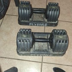 Flybird 55lbs Dumbell Set