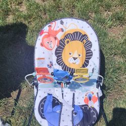 Fisher Price Baby Bouncer