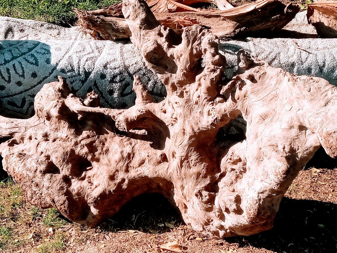 Unique Driftwood 