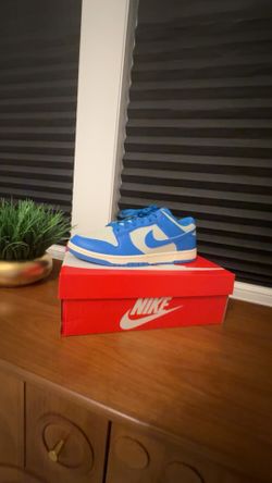 Brand New Nike Dunk Low Size 11M
